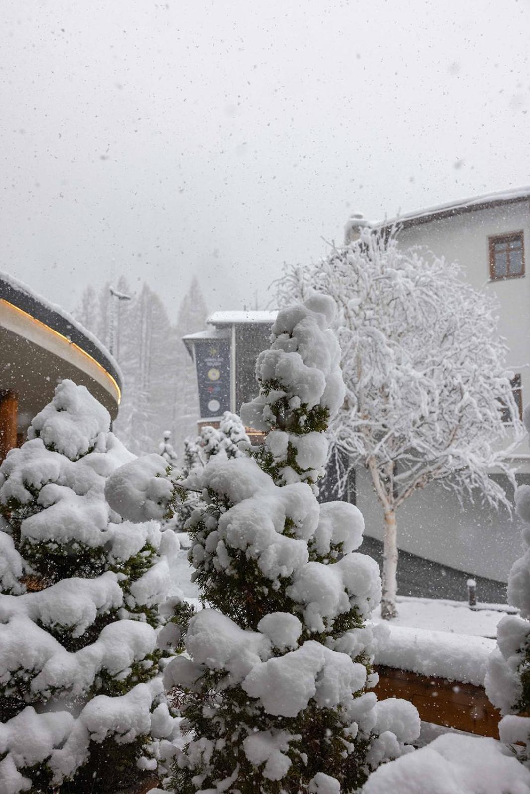 Hotel Garni Ehrenreich เซิลเดน ภายนอก รูปภาพ